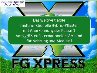 FG Xpress PowerStrips(TM) Webinar Deutsch 03.11.2013