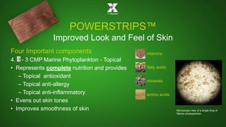 POWERSTRIPS™ 
Improved Look and Feel of Skin 
Four Important components 
4. - 3 CMP Marine Phytoplankton - Topical 
• Represents complete nutrition and provides 
– Topical antioxidant 
– Topical anti-allergy 
– Topical anti-inflammatory 
• Evens out skin tones 
• Improves smoothness of skin Microscopic view of a single drop of 
Marine phytoplankton 
vitamins 
fatty acids 
minerals 
amino acids 
 