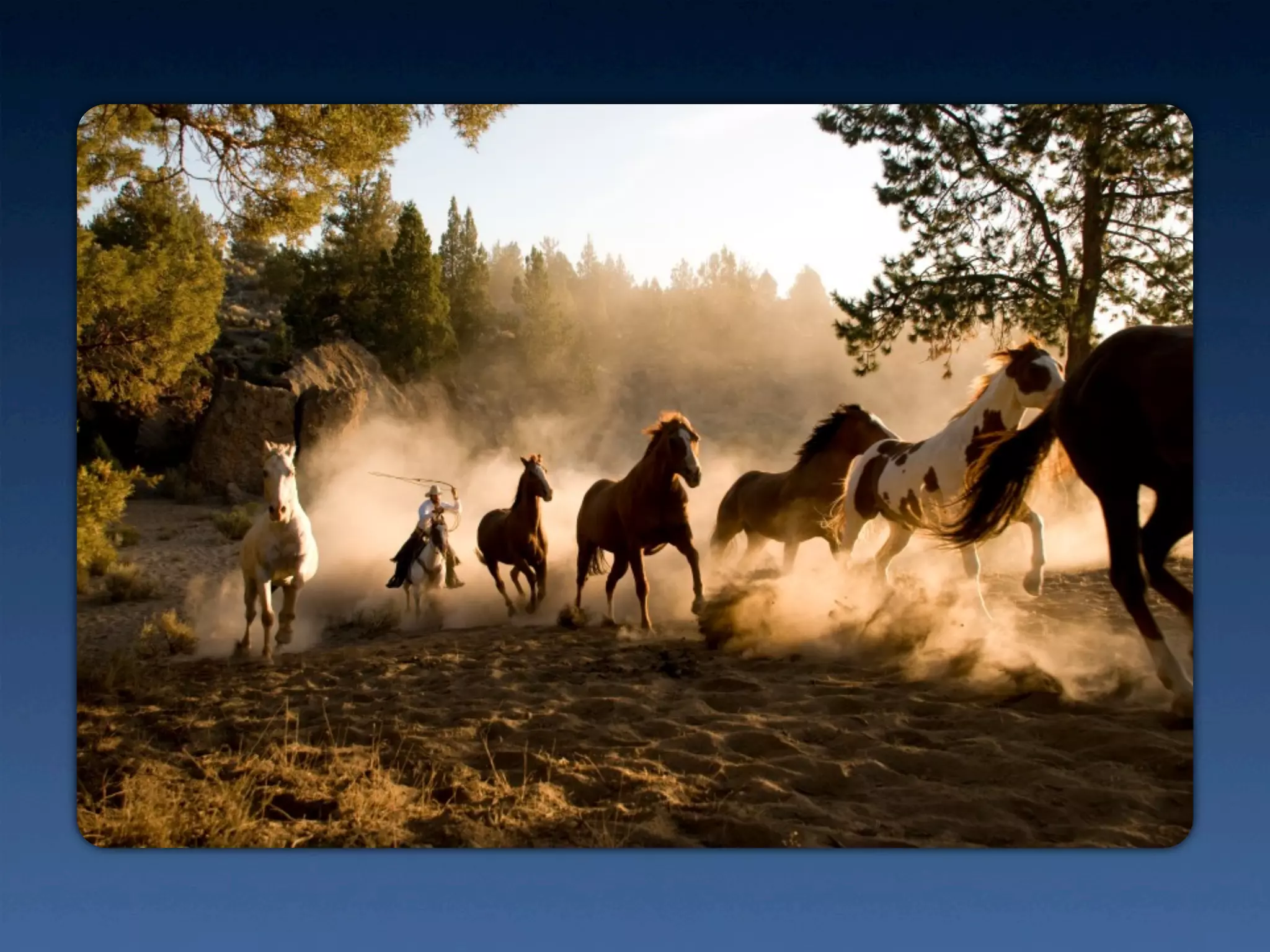 The Power of Open Data