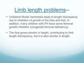 Limb length problems--
 Unilateral fibular hemimelia leads to length discrepancy
due to inhibition of growth of the tibia and foot. In
addition, many children with FH have some femoral
growth inhibition (congenital femoral deficiency).
 The foot grows shorter in height, contributing to limb
length discrepancy, but it is also shorter in length.
 