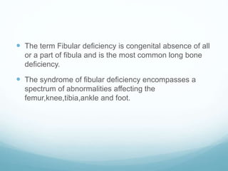  The term Fibular deficiency is congenital absence of all
or a part of fibula and is the most common long bone
deficiency.
 The syndrome of fibular deficiency encompasses a
spectrum of abnormalities affecting the
femur,knee,tibia,ankle and foot.
 