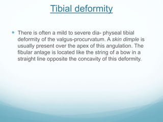 Tibial deformity
 There is often a mild to severe dia- physeal tibial
deformity of the valgus-procurvatum. A skin dimple is
usually present over the apex of this angulation. The
fibular anlage is located like the string of a bow in a
straight line opposite the concavity of this deformity.
 
