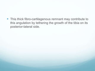  This thick fibro-cartilagenous remnant may contribute to
this angulation by tethering the growth of the tibia on its
posterior-lateral side.
 