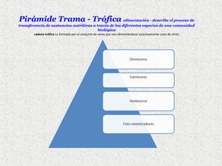 Pirámide Trama - Trófica alimentación - describe el proceso de
transferencia de sustancias nutritivas a través de las diferentes especies de una comunidad
biológica
cadena trófica La formada por el conjunto de seres que van alimentándose sucesivamente unos de otros

 