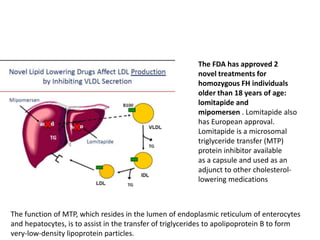 Familial Hypercholesterolemia Diagram