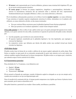 7 
 El tercero: está representado por el nervio oftálmico, primera rama terminal del trigémino (V), que es un nervio exclusivamente sensitivo. 
 El cuarto grupo: lo forman los grupos vegetativos, simpáticos y parasimpáticos, destinados a inervar la musculatura intrínseca del ojo (músculo ciliar y músculo del iris), representado fundamentalmente por el ganglio oftálmico o ciliar y sus ramos aferentes y eferentes. 
Por la hendidura esfenomaxilar penetran en la órbita el nervio maxilar superior y su ramo orbitarios. Y que mientras el maxilar superior simplemente atraviesa la órbita, ubicándose en el conducto sub- orbitario, su rama colateral se divide, en dos ramos terminales: 
 Uno que contiene filetes secretores para la glándula lagrimal (ramo lácrimo-palpebral). 
 Otro que penetra en el conducto cigomático o malar (ramo témporo-malar). 
b) La celda anterior: en ella se ubica el ojo o globo ocular que es la parte principal del aparato de la visión. Además, en la parte anterior de esta celda, encuéntrese el aparato de protección del globo ocular, formado por: 
 Los dos parpados, que recubren la cara anterior del ojo. 
 El aparato lagrimal, constituido por la glándula lagrimal y las vías lagrimales, que segregan y evacuan las lágrimas. 
 La conjuntiva ocular, que delimita por detrás del globo ocular una cavidad virtual por donde circulan las lágrimas. 
6) El Globo Ocular 
El globo ocular tiene la forma de un ovoide o esférica de eje mayor sagital, aplanado de arriba abajo. Esta forma es regular en gran parte de su extensión exceptuando la parte más anterior en la cual existe una saliente también regular formada por la córnea transparente. El globo ocular es un órgano par y simétrico, que además ocupa el tercio anterior de la órbita. 
6.1) Características generales: 
Pesa alrededor de 7 a 7,5 gramos, y sus diámetros son: 
 Sagital = 25 mm 
 Vertical = 23 mm 
 Transversal = 23,5 mm 
El ojo normal es llamado ojo emétrope, cuando el diámetro sagital es alargado es un ojo con miopía axil y cuando esta acortado es un ojo con hipermetropía axil. 
Para el estudio de la anatomía del ojo, el mismo puede compararse con el globo que forma el planeta tierra pero acostado, por lo tanto se describen en él: 
Dos polos (anterior y posterior) un ecuador o línea media, meridianos y paralelos.  