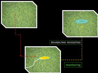 REHABILITASI- REVEGETASI
monitoring
 