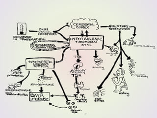 Functional Health Patterns 1 Nutrition and Metabolic Pattern.ppt
