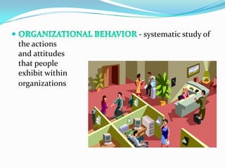 Study Human Behaviour HUMAN BEHAVIOUR | PPTX