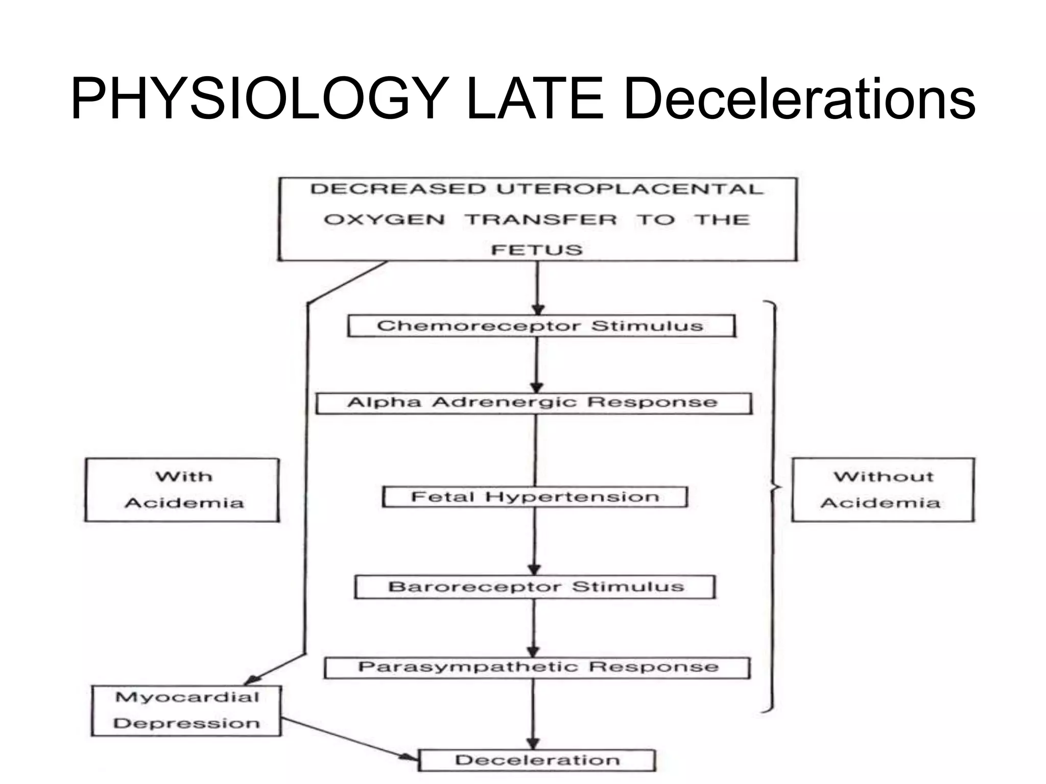 PHYSIOLOGY LATE Decelerations
 