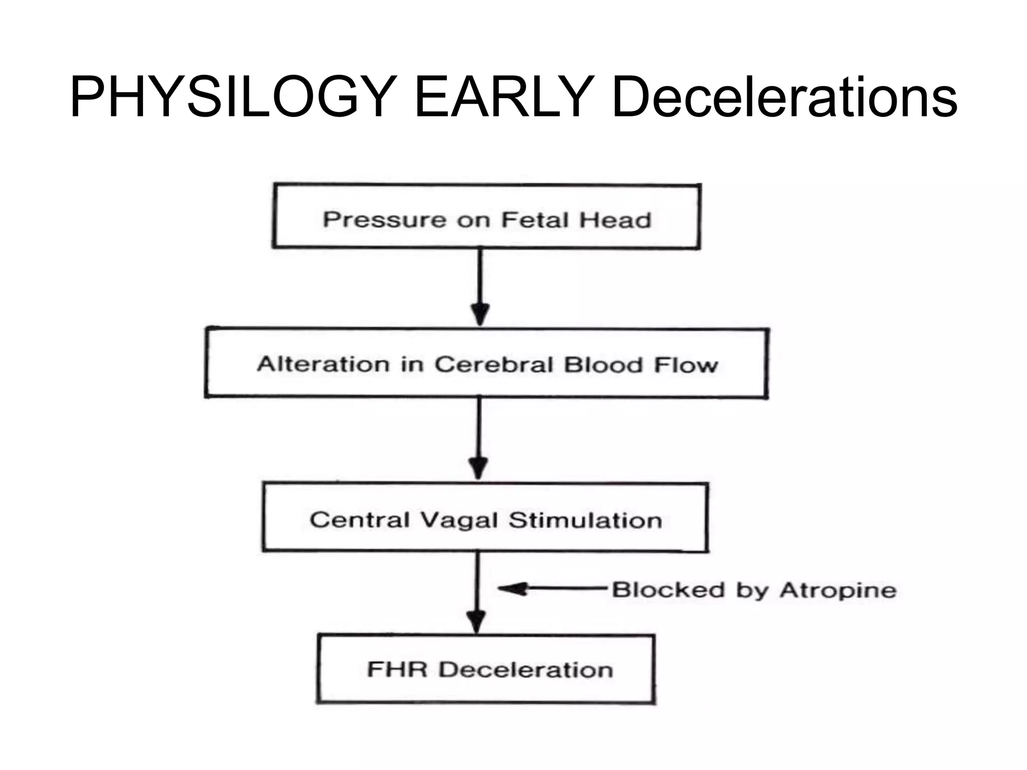 PHYSILOGY EARLY Decelerations
 