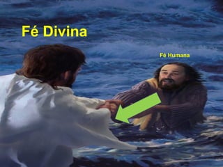 Fé Divina
            Fé Humana
 