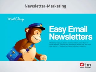 Newsletter-Marketing
 