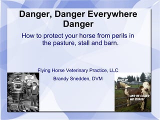 Danger, Danger Everywhere
Danger
How to protect your horse from perils in
the pasture, stall and barn.
Flying Horse Veterinary Practice, LLC
Brandy Snedden, DVM
 