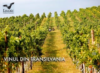 VINUL DIN TRANSILVANIA
15
 