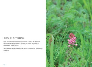 BIROURI DE TURISM
Lista birourilor interna)ionale de informare turistic" ale României.
Dac" pl"nui)i s" pleca)i într-o excursie v" rug"m s" apela)i cu
încredere la aceste birouri.
Ve#i beneﬁcia de recomand"ri utile pentru c"l"toria dvs. !i informa#ii
speciﬁce.
63
 