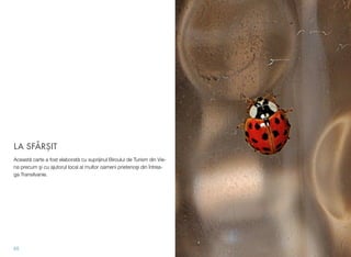 LA SFÂRŞIT
Această carte a fost elaborată cu suprijinul Biroului de Turism din Vie-
na precum şi cu ajutorul local al multor oameni prietenoşi din întrea-
ga Transilvanie.
65
 