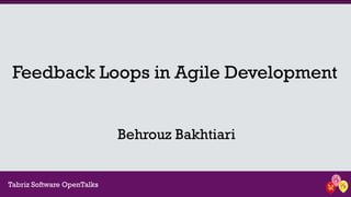 Feedback Loops in Agile Development 
BehrouzBakhtiari 
Tabriz Software OpenTalks  