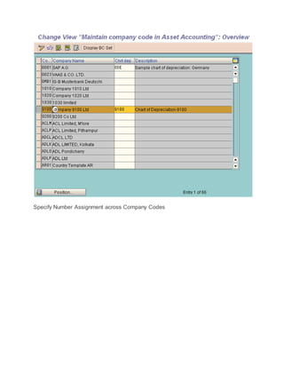 Specify Number Assignment across Company Codes
 