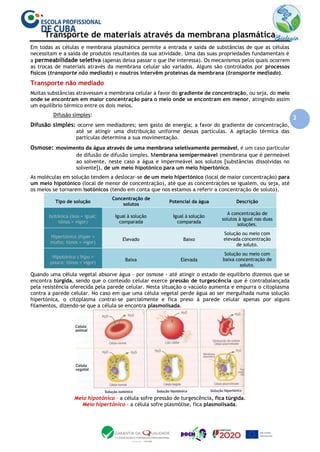 3
Transporte de materiais através da membrana plasmática
Em todas as células e membrana plasmática permite a entrada e saída de substâncias de que as células
necessitam e a saída de produtos resultantes da sua atividade. Uma das suas propriedades fundamentais é
a permeabilidade seletiva (apenas deixa passar o que lhe interessa). Os mecanismos pelos quais ocorrem
as trocas de materiais através da membrana celular são variados. Alguns são controlados por processos
físicos (transporte não mediado) e noutros intervêm proteínas da membrana (transporte mediado).
Transporte não mediado
Muitas substâncias atravessam a membrana celular a favor do gradiente de concentração, ou seja, do meio
onde se encontram em maior concentração para o meio onde se encontram em menor, atingindo assim
um equilíbrio térmico entre os dois meios.
Difusão simples:
Difusão simples: ocorre sem mediadores; sem gasto de energia; a favor do gradiente de concentração,
até se atingir uma distribuição uniforme dessas partículas. A agitação térmica das
partículas determina a sua movimentação.
Osmose: movimento da água através de uma membrana seletivamente permeável, é um caso particular
de difusão de difusão simples. Membrana semipermeável (membrana que é permeável
ao solvente, neste caso a água e impermeável aos solutos [substâncias dissolvidas no
solvente]), de um meio hipotónico para um meio hipertónico.
As moléculas em solução tendem a deslocar-se de um meio hipertónico (local de maior concentração) para
um meio hipotónico (local de menor de concentração), até que as concentrações se igualem, ou seja, até
os meios se tornarem isotónicos (tendo em conta que nos estamos a referir a concentração de soluto).
Tipo de solução
Concentração de
solutos
Potencial da água Descrição
Isotónica (isos = igual;
tónos = vigor)
Igual à solução
comparada
Igual à solução
comparada
A concentração de
solutos à igual nas duas
soluções.
Hipertónico (hiper =
muito; tónos = vigor)
Elevado Baixo
Solução ou meio com
elevada concentração
de soluto.
Hipotónico ( hipo =
pouco; tónos = vigor)
Baixa Elevada
Solução ou meio com
baixa concentração de
soluto.
Quando uma célula vegetal absorve água – por osmose - até atingir o estado de equilíbrio dizemos que se
encontra túrgida, sendo que o conteúdo celular exerce pressão de turgescência que é contrabalançada
pela resistência oferecida pela parede celular. Nesta situação o vacúolo aumenta e empurra o citoplasma
contra a parede celular. No caso em que uma célula vegetal perde água ao ser mergulhada numa solução
hipertónica, o citoplasma contrai-se parcialmente e fica preso à parede celular apenas por alguns
filamentos, dizendo-se que a célula se encontra plasmolisada.
Meio hipotónico – a célula sofre pressão de turgescência, fica túrgida.
Meio hipertónico – a célula sofre plasmólise, fica plasmolisada.
 