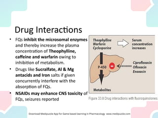 Drug Interactions
• FQs inhibit the microsomal enzymes
and thereby increase the plasma
concentration of Theophylline,
caffeine and warfarin owing to
inhibition of metabolism.
• Drugs like Sucralfate, Al & Mg
antacids and Iron salts if given
concurrently interfere with the
absorption of FQs.
• NSAIDs may enhance CNS toxicity of
FQs, seizures reported
 