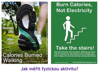 Jak měřit fyzickou aktivitu?
 