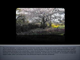 “ Eye of the Beholder” “ Eye of the Beholder” is another collection of mine from another trip to Arlie Gardens located here in Wilmington  N.C. Again this is a photo that was unintentional in its outcome. Varying degrees of shades and colors embedded themselves nicely to bring a certain dimension to the overall effect. I enjoy this photo because of the end results, again this photo was untouched and proof  of  the simplicity that involves photography sometimes.  As with many of my photos I  do not preplan or stage the subject matter, rather I just simply shoot  the camera and hope for the best  sometimes.  