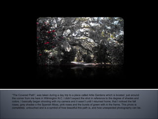 “ The Covered Path” “ The Covered Path”, was taken during a day trip to a place called Arlie Gardens which is located  just around  the corner from me here in Wilmington N.C. I didn’t expect the shot in reference to the degree of shades and colors. I basically began shooting with my camera and it wasn’t until I returned home, that I noticed the fall roses, grey shades o the Spanish Moss, pink roses and the bursts of green with in the frame. This photo is completely  untouched and is a symbol of how beautiful this path is, and how unexpected photography can be.  