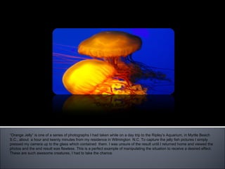 “ Orange Jelly” “ Orange Jelly” is one of a series of photographs I had taken while on a day trip to the Ripley’s Aquarium, in Myrtle Beach S.C., about  a hour and twenty minutes from my residence in Wilmington  N.C. To capture the jelly fish pictures I simply pressed my camera up to the glass which contained  them. I was unsure of the result until I returned home and viewed the photos and the end result was flawless. This is a perfect example of manipulating the situation to receive a desired effect. These are such awesome creatures, I had to take the chance.  