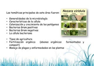 Las temáticas principales de este área fueron:
•
•
•
•
•
•

Generalidades de la microbiología
Características de la célula
Colonización y crecimiento de los patógenos
Bacterias Gram positivas
Bacterias Gram negativas
La célula bacteriana

• Tipos de agricultura
• Fertilización orgánica
(abonos orgánicos
fermentados y
compost)
• Manejo de plagas y enfermedades en las plantas

 
