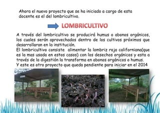 Ahora el nuevo proyecto que se ha iniciado a cargo de esta
docente es el del lombricultivo.

A través del lombricultivo se producirá humus o abonos orgánicos,
los cuales serán aprovechados dentro de los cultivos próximos que
desarrollaran en la institución.
El lombricultivo consiste alimentar la lombriz roja californiana(que
es la mas usada en estos casos) con los desechos orgánicos y esta a
través de la digestión la transforma en abonos orgánicos o humus.
Y este es otro proyecto que queda pendiente para iniciar en el 2014

 
