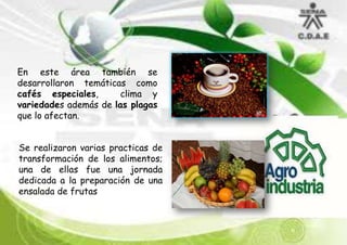 En este área también se
desarrollaron temáticas como
cafés especiales,
clima y
variedades además de las plagas
que lo afectan.
Se realizaron varias practicas de
transformación de los alimentos;
una de ellas fue una jornada
dedicada a la preparación de una
ensalada de frutas

 