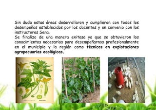Sin duda estas áreas desarrollaron y cumplieron con todos los
desempeños establecidos por los docentes y en convenio con los
instructores Sena.
Se finalizo de una manera exitosa ya que se obtuvieron los
conocimientos necesarios para desempeñarnos profesionalmente
en el municipio y la región como técnicos en explotaciones
agropecuarias ecológicas.

 