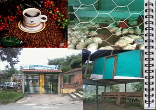 LIBRO TÉCNICO EN EXPLOTACIONES AGROPECUARIAS ECOLOGICAS