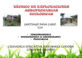 SANTIAGO PAVA CANO
11A

•

• AGROINDUSTRIA
MICROBIOOGIA & ENTOMOLOGIA
• PECUARIAS

CIUDADELA EDUCATIVA JOSE MARIA CODOBA
CORDOBA-QUINDO
2013

 
