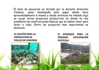 El área de pecuarias es dictada por la docente Arancibia
Jiménez, quien desempeña este papel desde hace
aproximadamente 6 meses y desde entonces ha tomado bajo
su cargo varios proyectos productivos en donde se nos
enseñaron las construcciones básicas que se deben tener para
llevar a cabo. Entre los proyectos mas importantes se
destacan:
EL GALPÓN PARA LA
PRODUCCIÓN DE
POLLOS DE ENGORDE

EL ESTANQUE PARA LA
PRÓXIMA
EXPLOTACIÓN
PISCÍCOLA

 