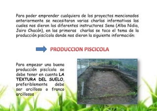 Para poder emprender cualquiera de los proyectos mencionados
anteriormente se necesitaron varias charlas informativas las
cuales nos dieron los diferentes instructores Sena (Alba Nidia,
Jairo Chacón), en las primeras charlas se toco el tema de la
producción piscícola donde nos dieron la siguiente información:

Para empezar una buena
producción piscícola se
debe tener en cuenta LA
TEXTURA DEL SUELO,
preferiblemente
debe
ser arcilloso o franco
arcillosos

 