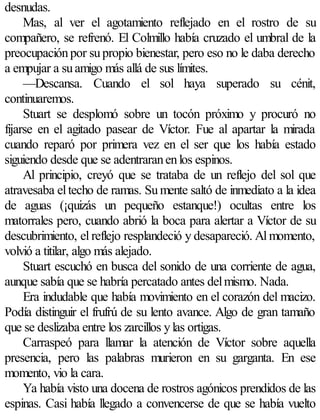 desnudas.
     Mas, al ver el agotamiento reflejado en el rostro de su
compañero, se refrenó. El Colmillo había cruzado el umbral de la
preocupación por su propio bienestar, pero eso no le daba derecho
a empujar a su amigo más allá de sus límites.
     —Descansa. Cuando el sol haya superado su cénit,
continuaremos.
     Stuart se desplomó sobre un tocón próximo y procuró no
fijarse en el agitado pasear de Víctor. Fue al apartar la mirada
cuando reparó por primera vez en el ser que los había estado
siguiendo desde que se adentraran en los espinos.
     Al principio, creyó que se trataba de un reflejo del sol que
atravesaba el techo de ramas. Su mente saltó de inmediato a la idea
de aguas (¡quizás un pequeño estanque!) ocultas entre los
matorrales pero, cuando abrió la boca para alertar a Víctor de su
descubrimiento, el reflejo resplandeció y desapareció. Al momento,
volvió a titilar, algo más alejado.
     Stuart escuchó en busca del sonido de una corriente de agua,
aunque sabía que se habría percatado antes del mismo. Nada.
     Era indudable que había movimiento en el corazón del macizo.
Podía distinguir el frufrú de su lento avance. Algo de gran tamaño
que se deslizaba entre los zarcillos y las ortigas.
     Carraspeó para llamar la atención de Víctor sobre aquella
presencia, pero las palabras murieron en su garganta. En ese
momento, vio la cara.
     Ya había visto una docena de rostros agónicos prendidos de las
espinas. Casi había llegado a convencerse de que se había vuelto
 