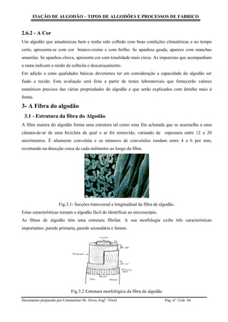 FIAÇÃO DE ALGODÃO – TIPOS DE ALGODÕES E PROCESSOS DE FABRICO
Documento preparado por Constantino M. Alves, Engº. Têxtil Pag. nº de 6612
2.6.2 - A Cor
Um algodão que amadureceu bem e tenha sido colhido com boas condições climatéricas e no tempo
certo, apresenta-se com cor branco-creme e com brilho. Se apanhou geada, aparece com manchas
amarelas. Se apanhou chuva, apresenta cor com tonalidade mais cinza. As impurezas que acompanham
a rama indicam o modo de colheita e descaroçamento.
Em adição a estas qualidades básicas deveremos ter em consideração a capacidade do algodão ser
fiado e tecido. Esta avaliação será feita a partir de testes laboratoriais que fornecerão valores
numéricos precisos das várias propriedades do algodão e que serão explicados com detalhe mais à
frente.
3- A Fibra do algodão
3.1 - Estrutura da fibra do Algodão
A fibra matura do algodão forma uma estrutura tal como uma fita achatada que se assemelha a uma
câmara-de-ar de uma bicicleta da qual o ar foi removido, variando de espessura entre 12 a 20
micrómetros. É altamente convoluta e os números de convulsões rondam entre 4 a 6 por mm,
revertendo na direcção cerca de cada milímetro ao longo da fibra.
Fig.3.1- Secções transversal e longitudinal da fibra de algodão.
Estas características tornam o algodão fácil de identificar ao microscópio.
As fibras de algodão têm uma estrutura fibrilar. A sua morfologia exibe três características
importantes: parede primaria, parede secundária e lúmen.
Fig.3.2 Estrutura morfológica da fibra de algodão
 