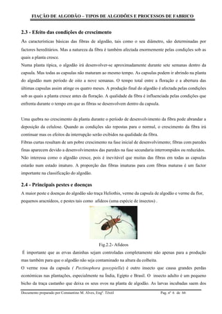 FIAÇÃO DE ALGODÃO – TIPOS DE ALGODÕES E PROCESSOS DE FABRICO
Documento preparado por Constantino M. Alves, Engº. Têxtil Pag. nº de 666
2.3 - Efeito das condições de crescimento
As características básicas das fibras de algodão, tais como o seu diâmetro, são determinadas por
factores hereditários. Mas a natureza da fibra é também afectada enormemente pelas condições sob as
quais a planta cresce.
Numa planta típica, o algodão irá desenvolver-se aproximadamente durante sete semanas dentro da
capsula. Mas todas as capsulas não maturam ao mesmo tempo. As capsulas podem ir abrindo na planta
do algodão num período de oito a nove semanas. O tempo total entre a floração e a abertura das
últimas capsulas assim atinge os quatro meses. A produção final do algodão é afectada pelas condições
sob as quais a planta cresce antes da floração. A qualidade da fibra é influenciada pelas condições que
enfrenta durante o tempo em que as fibras se desenvolvem dentro da capsula.
Uma quebra no crescimento da planta durante o período de desenvolvimento da fibra pode abrandar a
deposição da celulose. Quando as condições são repostas para o normal, o crescimento da fibra irá
continuar mas os efeitos da interrupção serão exibidos na qualidade da fibra.
Fibras curtas resultam de um pobre crescimento na fase inicial de desenvolvimento; fibras com paredes
finas aparecem devido a desenvolvimentos das paredes na fase secundaria interrompidos ou reduzidos.
Não interessa como o algodão cresce, pois é inevitável que muitas das fibras em todas as capsulas
estarão num estado imaturo. A proporção das fibras imaturas para com fibras maturas é um factor
importante na classificação do algodão.
2.4 - Principais pestes e doenças
A maior peste e doenças do algodão são traça Heliothis, verme da capsula de algodão e verme da flor,
pequenos aracnídeos, e pestes tais como afideos (uma espécie de insectos) .
Fig.2.2- Afideos
É importante que as ervas daninhas sejam controladas completamente não apenas para a produção
mas também para que o algodão não seja contaminado na altura da colheita.
O verme rosa da capsula ( Pectinophora gossypiella) é outro insecto que causa grandes perdas
económicas nas plantações, especialmente na Índia, Egipto e Brasil. O insecto adulto é um pequeno
bicho da traça castanho que deixa os seus ovos na planta de algodão. As larvas incubadas saem dos
 