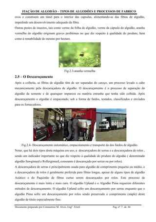 FIAÇÃO DE ALGODÃO – TIPOS DE ALGODÕES E PROCESSOS DE FABRICO
Documento preparado por Constantino M. Alves, Engº. Têxtil Pag. nº de 667
ovos e constroem um túnel para o interior das capsulas, alimentando-se das fibras de algodão,
impedindo um desenvolvimento adequado da fibra.
Outras pestes de insectos, tais como verme da folha de algodão, verme da cápsula do algodão, aranha
vermelha do algodão originam graves problemas no que diz respeito à qualidade do produto, bem
como à rentabilidade do mesmo por hectare.
Fig.2.3-aranha vermelha
2.5 – O Descaroçamento
Após a colheita, as fibras de algodão têm de ser separadas do caroço, um processo levado a cabo
mecanicamente pela descaroçadora de algodão. O descaroçamento é o processo de separação do
algodão da semente e de quaisquer impureza ou matéria estranha que tenha sido colhida. Após
descaroçamento o algodão é empacotado, sob a forma de fardos, testados, classificados e enviados
para os fornecedores.
Fig.2.4- Descaroçamento automático, empacotamento e transporte do dos fardos de algodão.
Notar, que há dois tipos desta máquina em uso, a descaroçadora de serras e a descaroçadora de rolos ,
sendo um indicador importante no que diz respeito à qualidade do produto do algodão ( denominado
algodão Sawginned e Rollerginned, consoante é descaroçado por serras ou por rolos).
A descaroçadora de serras é principalmente usada para algodão de comprimento pequeno ou médio, e
a descaroçadora de rolos é geralmente preferida para fibras longas, apesar de alguns tipos de algodão
Asiático e do Paquistão de fibras curtas serem descaroçados por rolos. Este processo de
descaroçamento é mais lento e mais caro. O algodão Upland e o Algodão Pima requerem diferentes
métodos de descaroçamento. O algodão Upland sofre um descaroçamento por serras enquanto que o
algodão Pima sofre um descaroçamento por rolos sendo preservado o comprimento (staple) deste
algodão de título especialmente fino.
 