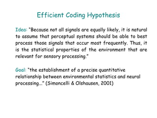 Efficient Coding Hypothesis

Idea: “Because not all signals are equally likely, it is natural
to assume that perceptual systems should be able to best
process those signals that occur most frequently. Thus, it
is the statistical properties of the environment that are
relevant for sensory processing.”

Goal: “the establishment of a precise quantitative
relationship between environmental statistics and neural
processing...” (Simoncelli & Olshausen, 2001)