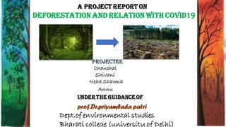 A Project report on
Dept.of environmental studies
Bharati college (university of Delhi)
Deforestation and relation with covid19
Projectee:
Chanchal
Shivani
Neha Sharma
Annu
Underthe guidance of
prof.Dr.priyambada patri
 