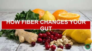 HOW FIBER CHANGES YOUR
GUT
 