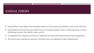 ANIMAL FIBERS
 Animal fibers come either from mammals (hairs) or from certain invertebrates, such as the silkworm.
 Animal fibers in textiles are most often from woot bearing animals, such as sheep and goats, or from
fur-bearing animals, like rabbits, mink, and fox.
 A comprehensive reference collection is important for animal hair identifications and comparisons.
 The microscopic anatomical structures of animal hairs are important to their identification.
 