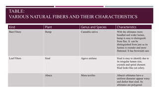 TABLE:
VARIOUS NATURAL FIBERS AND THEIR CHARACTERISTICS
Kind Plant Genus and Species Characteristics
Bast Fibers Hemp Cannabis sativa With the ultimates more
bundled and wider lumen,
hemp is easy to distinguish
from flax. It can be
distinguished from jute as its
lumina is rounder and more
flattened. It has brownish cast.
Leaf Fibers Sisal Agave sisilana Sisal is easy to identify due to
its irregular lumen size,
crystals and spiral element.
Sisal looks like cut celery.
Abaca Musa textiles Abaca's ultimates have a
uniform diameter appear waxy
and darker than sisal. Its
ultimates are polygonal.
 