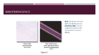 BIREFRRINGENCE
Figure 2
 
