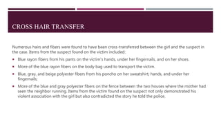 CROSS HAIR TRANSFER
Numerous hairs and fibers were found to have been cross-transferred between the girl and the suspect in
the case. Items from the suspect found on the victim included:
 Blue rayon fibers from his pants on the victim's hands, under her fingernails, and on her shoes.
 More of the blue rayon fibers on the body bag used to transport the victim.
 Blue, gray, and beige polyester fibers from his poncho on her sweatshirt, hands, and under her
fingernails;
 More of the blue and gray polyester fibers on the fence between the two houses where the mother had
seen the neighbor running. Items from the victim found on the suspect not only demonstrated his
violent association with the girl but also contradicted the story he told the police.
 