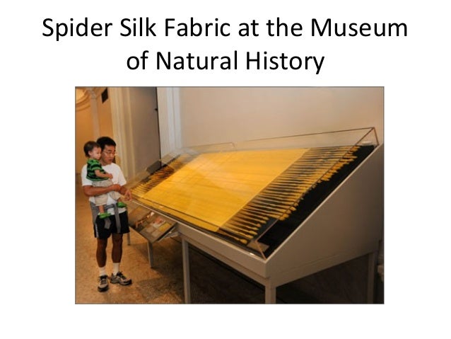 Spider Silk Fabric Museum Natural History Spider Silk Fabric Museum Natural History