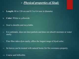  Physical properties of Sisal:
i. Length: 80 to 120 cm and 0.2 to 0.4 mm in diameter.
ii. Color: White to yellowish
iii. Sisal is durable and recyclable.
iv. It is antistatic, does not dust particle and does not absorb moisture or water
easily.
v. Fine fiber takes dyes easily, offers the largest range of dyed color.
vi. Its leaves can be treated with natural borax for fire resistance property.
vii. Coarse and Inflexible.
 